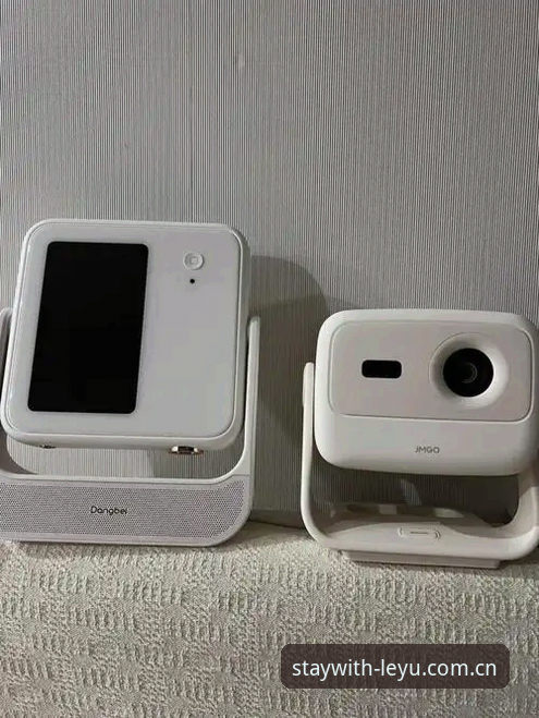 乐鱼APP电脑端登录体验深度评测：移动端vs桌面端，谁更香？